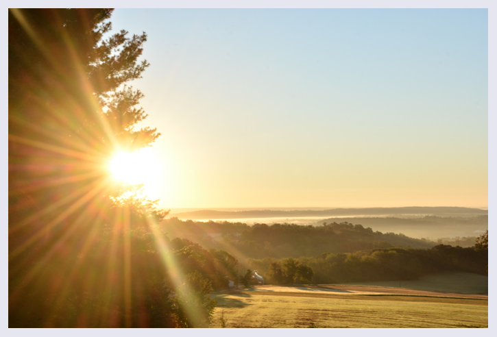The sun rising over the valley shining through the pines, copyright Smokie Kittner